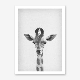 Giraffe II Art Print