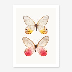 Butterflies IV Art Print