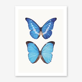 Butterflies V Art Print