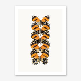 Butterflies VII Art Print