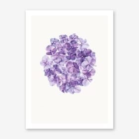 Flower I Art Print