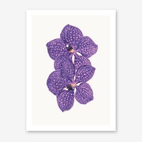 Flower VI Art Print