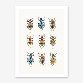 Insects V Art Print
