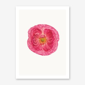 Poppy I Art Print