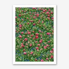 Field of Tulips 2 Art Print