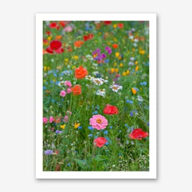 Field of Wild Flowers 1 Art Print