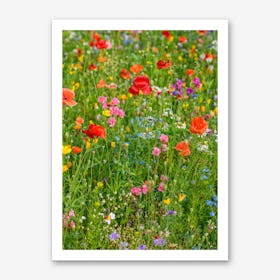 Field of Wild Flowers 2 Art Print
