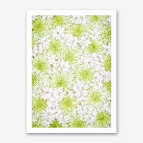 White Green Flowers Art Print