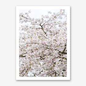 Blossom Tree Art Print