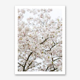 Blossom Tree 02 Art Print