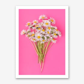Daisies on Pink Art Print