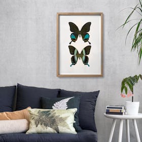 Butterflies II Art Print