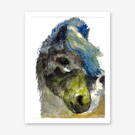 Icelandic Horse Art Print