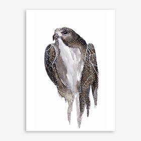 Osprey Art Print