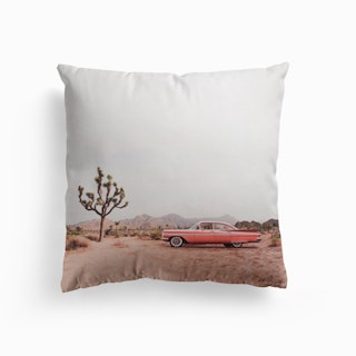In The Desert Cushion