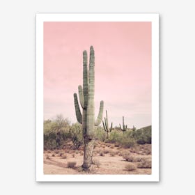 Blush Sky Desert Art Print