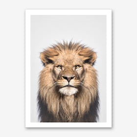 Lion Portrait Animal Art Print