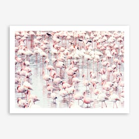Flock of Flamingos Art Print
