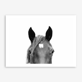Peeking Horse Art Print