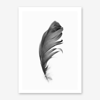 Feather Art Print