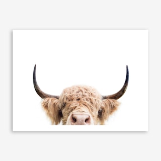 Peeking Cow Art Print