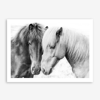 Horse Love Art Print