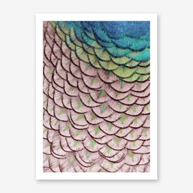 Pink Peacock Art Print