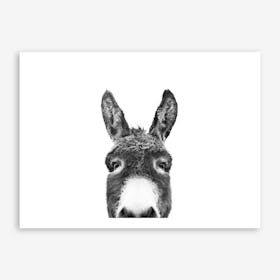 Hello Donkey Art Print