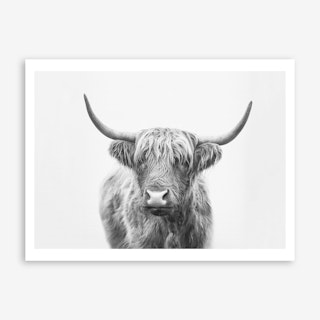 Highland Bull Art Print