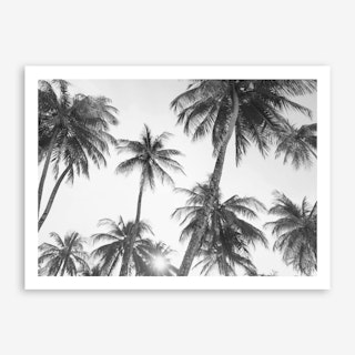 Palm Trees- Black and White Art Print