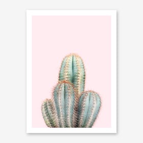 Cactus On Pink Art Print