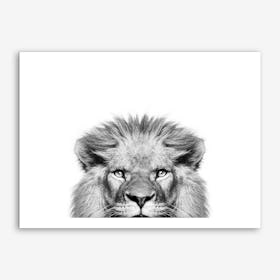Peeking Lion Art Print