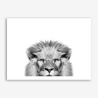 Peeking Lion Art Print
