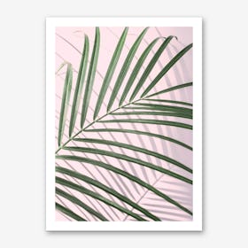 Pink & Palm Leaf Art Print