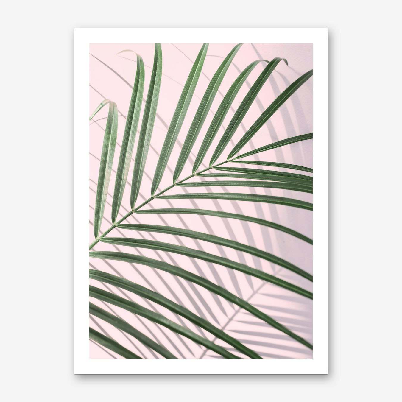 Pink Palm Leaf Art Print Free Shipping Fy