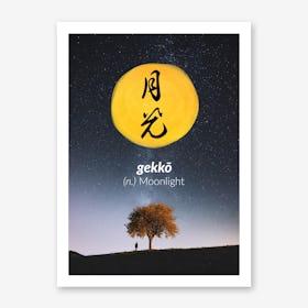 Gekko Art Print