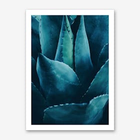 Cactus No.4 Art Print