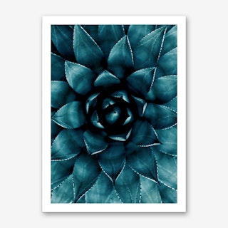 Cactus No.9 Art Print