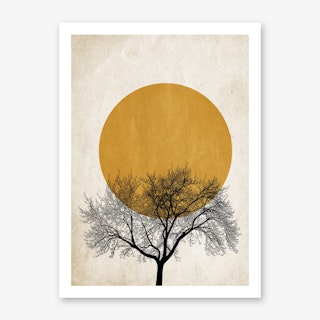 Winter Morning Art Print