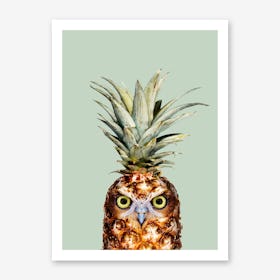 Pineapple Owl Art Print