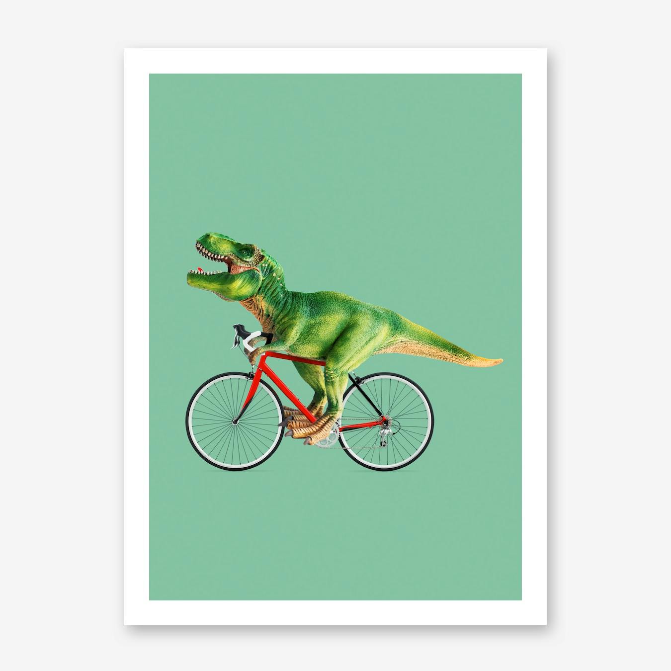 rex bike