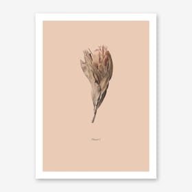 Botanico I Art Print