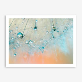 Dandelion -Droplets of Aqua Art Print
