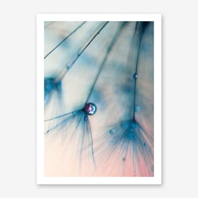 Dandelion - Droplets of Rose Pink Art Print