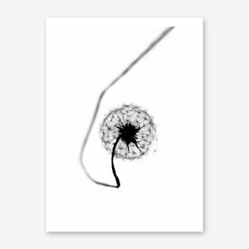 Dandelion - Simplicity Art Print