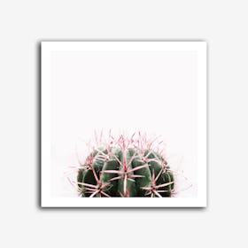 Cactus Red Art Print