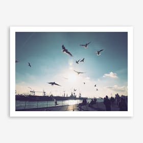 Seagulls at Hamburg Harbour 1 Art Print
