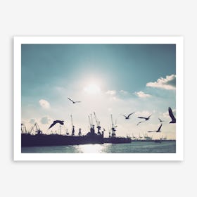 Seagulls at Hamburg Harbour 3 Art Print