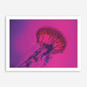 Sink or Float Art Print