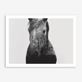 Dapple Horse Art Print